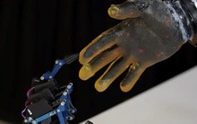 Không còn là phim viễn tưởng, robot hình người giờ đã biết đau, phản xạ như con người - các nhà khoa học đã làm gì?