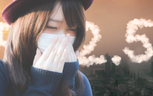 Không màu, không mùi nhưng độc nhất Hà Nội lúc này: Vì sao chúng nguy hiểm?