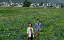 U30 bỏ phố chuyển về vùng núi "dưỡng già", chưa đầy 1 năm đã thảng thốt: “Đó không phải cuộc sống tôi muốn”