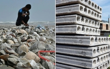 Phát minh có thể làm rung chuyển ngành xây dựng: Dùng thứ bị bỏ đi ở khắp các bờ biển để trộn thêm, giúp bê tông cứng hơn 20%, giảm phát thải CO2 đến 36%