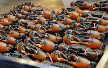 Kho báu dưới nước của Việt Nam 'bơi' sang Mỹ, Nhật Bản siêu đắt hàng: xuất khẩu tăng khủng hơn 600%, chất lượng vượt trội hàng đầu thế giới