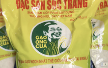 Giống lúa ST25 sản xuất bao nhiêu, bán hết bấy nhiêu