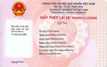 Cục CSGT đã cấp giấy phép lái xe mới màu hồng: Có bắt buộc đổi ngay trong năm nay?