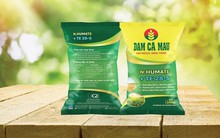 Đạm Cà Mau nâng gấp đôi chỉ tiêu lợi nhuận 2025 lên 1.448 tỷ đồng