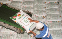 Đạm Cà Mau tăng mục tiêu lợi nhuận năm 2025 lên 1.448 tỷ đồng