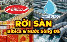 2 công ty con của GELEX và PAN Group chính thức bị huỷ tư cách đại chúng