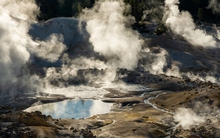 Phát hiện loài sinh vật mới có khả năng chịu nhiệt cao kỷ lục