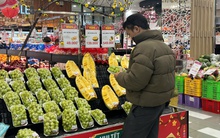 1 loại quả Việt gần như không có thuốc trừ sâu, thường có mặt trên bàn thờ ngày Tết