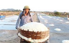 Làm giàu từ hạt muối, trả nợ diêm dân