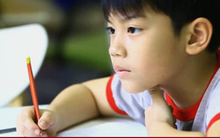 Con làm cả Tết không xong bài tập về nhà, nhiều phụ huynh ám ảnh