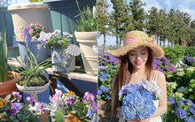 Trồng cây để bớt căng thẳng, ai dè cô gái 30 tuổi thu được kết quả mĩ mãn sau 1 năm kiên trì!