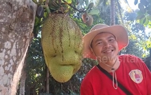 Quả mít có hình thù "lạ", người dân nườm nượp kéo đến chụp ảnh, thắp hương