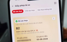 Cách kiểm tra điểm của giấy phép lái xe