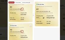 Thủ đoạn lừa đảo mới nhất về tích hợp điểm giấy phép lái xe mà người dân nên biết