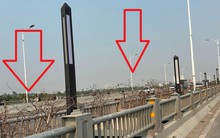 Cây xanh trên cầu Vĩnh Tuy 2 chết khô