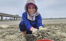 Mưu sinh nơi cửa biển giữa giá rét ngày đầu năm