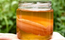 Kombucha được "vua dưỡng gan" nhưng cẩn trọng loạt tác dụng phụ không ngờ này