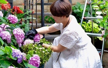 Khu vườn sân thượng độc đáo với hoa phủ kín 2 tầng nhà của mẹ 3 con!