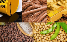 Thị trường ngày 12/2: Giá vàng và cà phê arabica giảm sau khi đạt kỷ lục cao