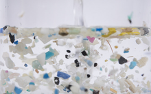 2 loại nước chứa đầy hạt vi nhựa nhưng nhiều người Việt rất mê, uống mỗi ngày