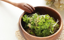 Ăn mầm bông cải xanh mỗi ngày trong 4 tuần, người đàn ông nhận về điều bất ngờ