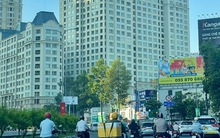 TP HCM: Số lượng căn hộ cao cấp bán ra tăng vọt