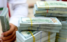 Tỷ giá hôm nay 13/2: Tỷ giá USD quay đầu giảm