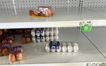 Mỹ: Lần đầu tiên trong lịch sử, giá trứng phá đỉnh, 100.000 quả bị đánh cắp khỏi siêu thị, món ăn bình dân tăng giá điên rồ hơn 100% thành hàng hiếm