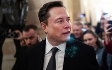 Elon Musk ‘đại chiến’ Bộ giáo dục Mỹ