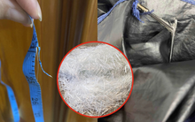 Không ngờ 7 thứ quen mặt này lại chứa sợi thuỷ tinh nguy hiểm, gây dị ứng da và tổn thương hệ hô hấp