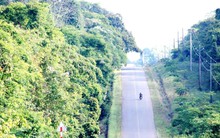 Một tỉnh Nam Bộ đề xuất làm hầm lộ thiên xuyên rừng, kết nối sân bay trong tương lai