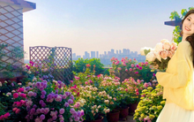 Mẹ đảm quy hoạch sân thượng thành khu vườn ngập tràn hoa và rau sạch tươi tốt quanh năm!