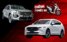 Chọn Peugeot 2008 hay thêm 70 triệu lấy Mazda CX-8 7 chỗ cho rộng, bảng so sánh này sẽ cho bạn thấy những thứ phải đánh đổi