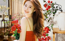 Cô gái trẻ bất ngờ nổi tiếng chỉ vì trồng được cây hoa giấy quá đẹp, cư dân mạng ví "cây như tiên nữ"