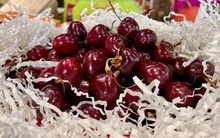 Cherry rẻ không ngờ bán khắp nơi, giá chỉ 120 -130 nghìn đồng/kg