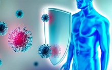 6 thói quen "âm thầm" tàn phá hệ miễn dịch, đặc biệt nguy hiểm trong mùa dịch