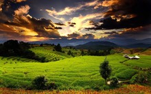 Tỉnh Tây Nguyên duy nhất được Chính phủ giao mục tiêu tăng trưởng GRDP 10% trong năm 2025: Tình hình kinh tế đang phát triển ra sao?