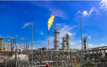 Doanh nghiệp Việt duy nhất có doanh thu 1 triệu tỷ đã nộp ngân sách hơn 10.000 tỷ đồng trong tháng đầu năm 2025