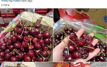 Cherry Chile giá sập sàn chỉ hơn 100.000 đồng/kg, dân tình đổ xô "mua như trẩy hội"