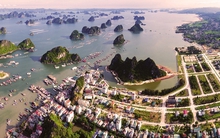 Xin ý kiến Ban Bí thư về Đề án xây dựng cơ chế, chính sách thí điểm phát triển Khu kinh tế Vân Đồn