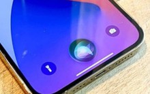 Cách tắt gợi ý của Siri trên iPhone