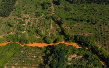 Cây cầu bị sập 50 năm trước trên tuyến đường huyết mạch sẽ được rót 5.130 tỷ đồng để "hồi sinh"?