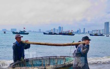 Kiếm bộn tiền với nghề 'săn' tôm hùm giống trên biển