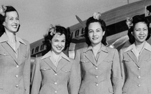 70 năm trước, yêu cầu tuyển dụng tiếp viên hàng không gây sốc đến mức nhiều cư dân mạng phải sửng sốt: "Tôi không biết mình đang đọc cái gì"