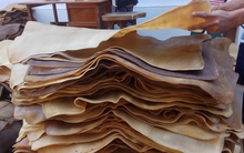 Loại nguyên liệu siêu quý này của Việt Nam được Malaysia ra sức chốt đơn hàng nghìn tấn: xuất khẩu tăng đột biến 800%, diện tích trồng hơn 900.000 ha