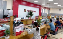 Lãi suất ngân hàng Agribank mới nhất tháng 02/2025: Gửi kỳ hạn 24 tháng có lãi suất cao nhất
