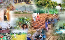 Chính sách mới có hiệu lực từ tháng 2/2025