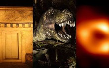 Những tranh cãi khoa học lớn nhất năm 2024: Từ kim tự tháp Ai Cập đến lỗ đen và dấu vân tay AI