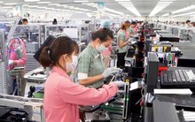 Doanh nghiệp xuất khẩu khai xuân đầy ắp đơn hàng