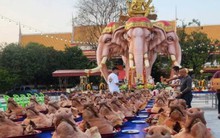 Bất ngờ trúng số, nam thanh niên đem trăm chiếc thủ lợn đi lễ tạ